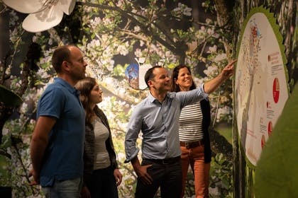 Öffentliche geführte Rundgänge