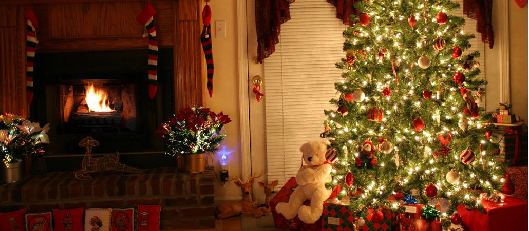 Weihnachten ohne Stress – mit unserer festlichen Genussbox!