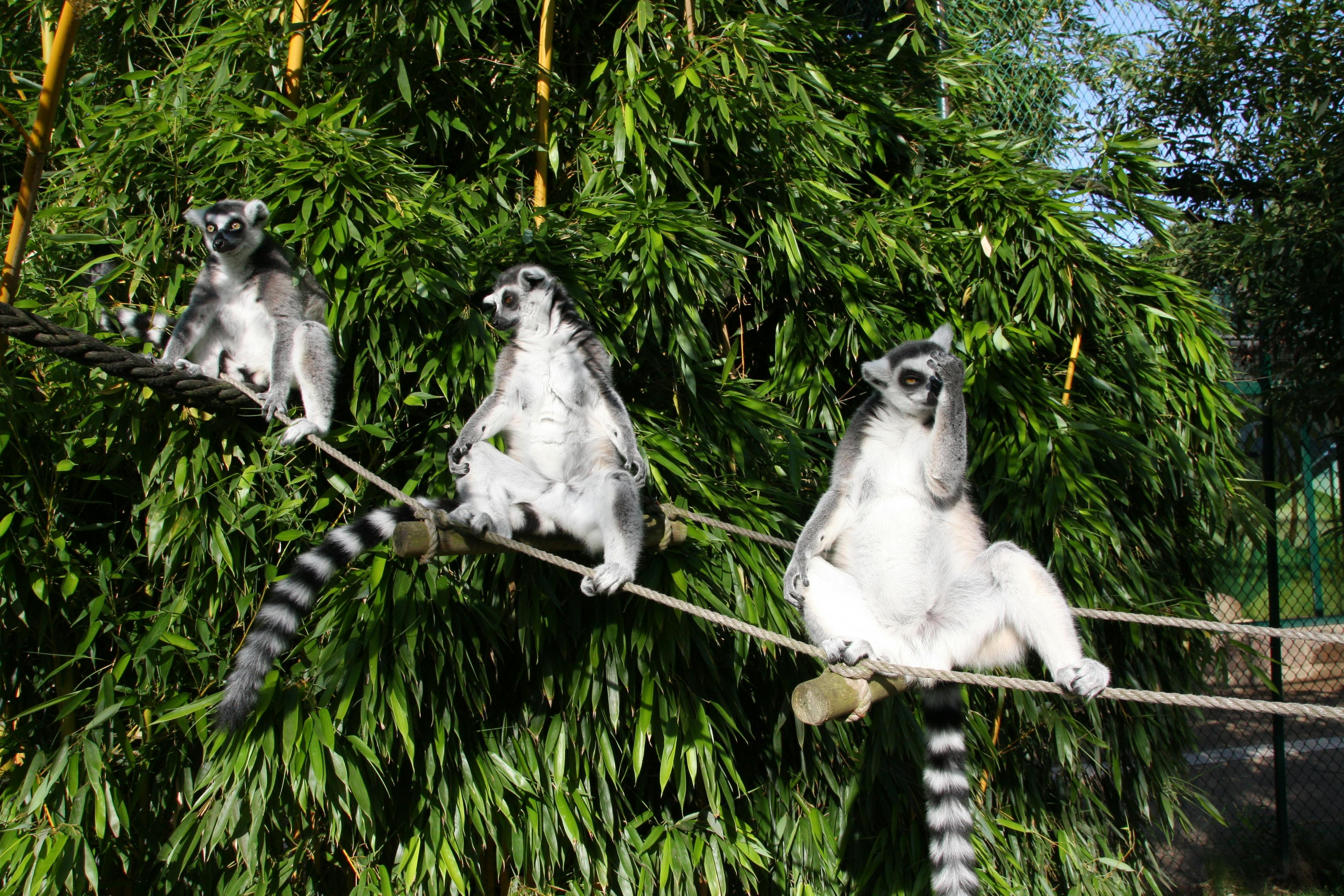 Grillplätze und Kindergeburtstage