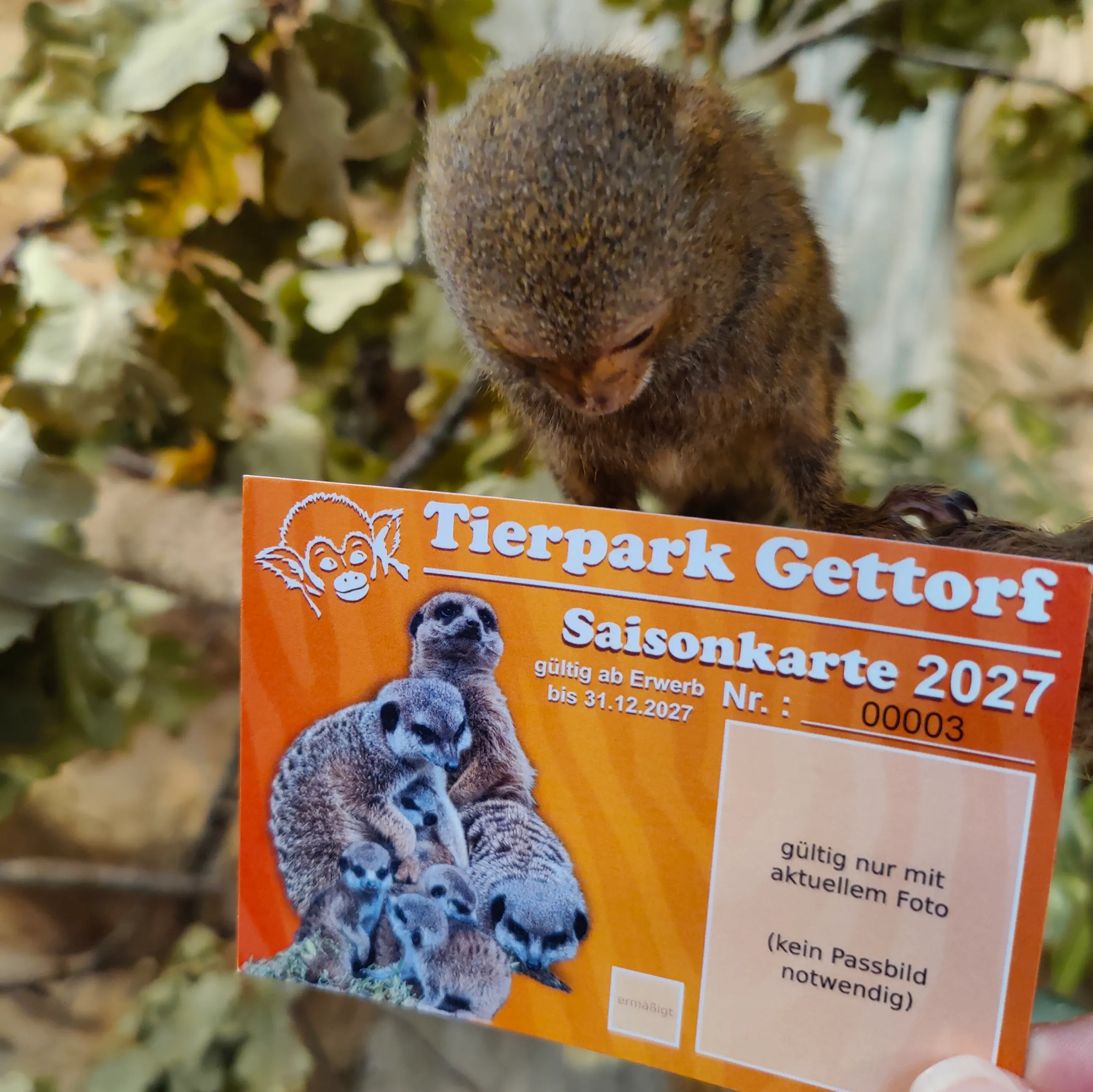 Physische Saisonkarte 2027