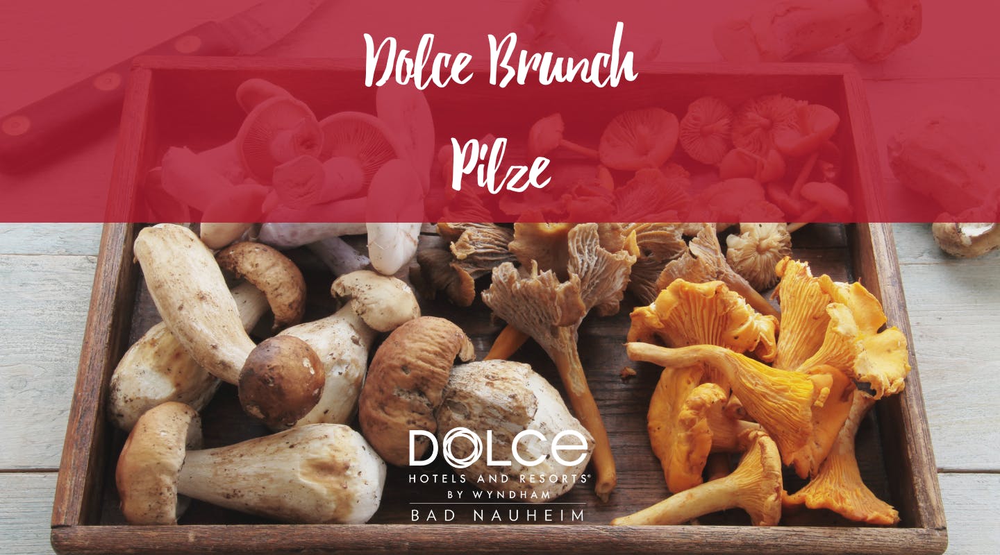 Sonntags-Brunch "Pilze"