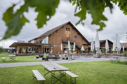 BuureZmorge auf dem Bächlihof in Jona
