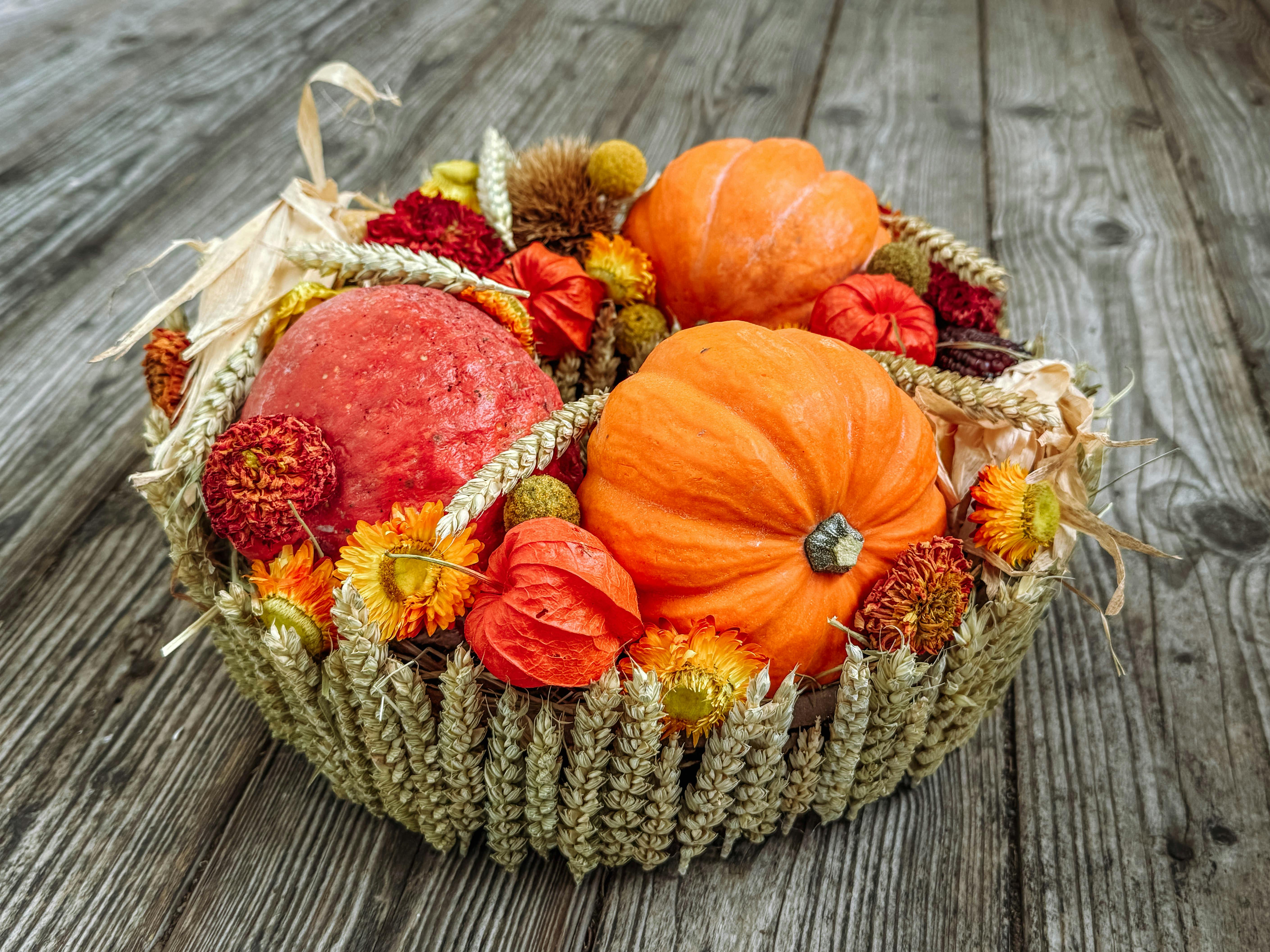 Kürbisse im Pflanzring