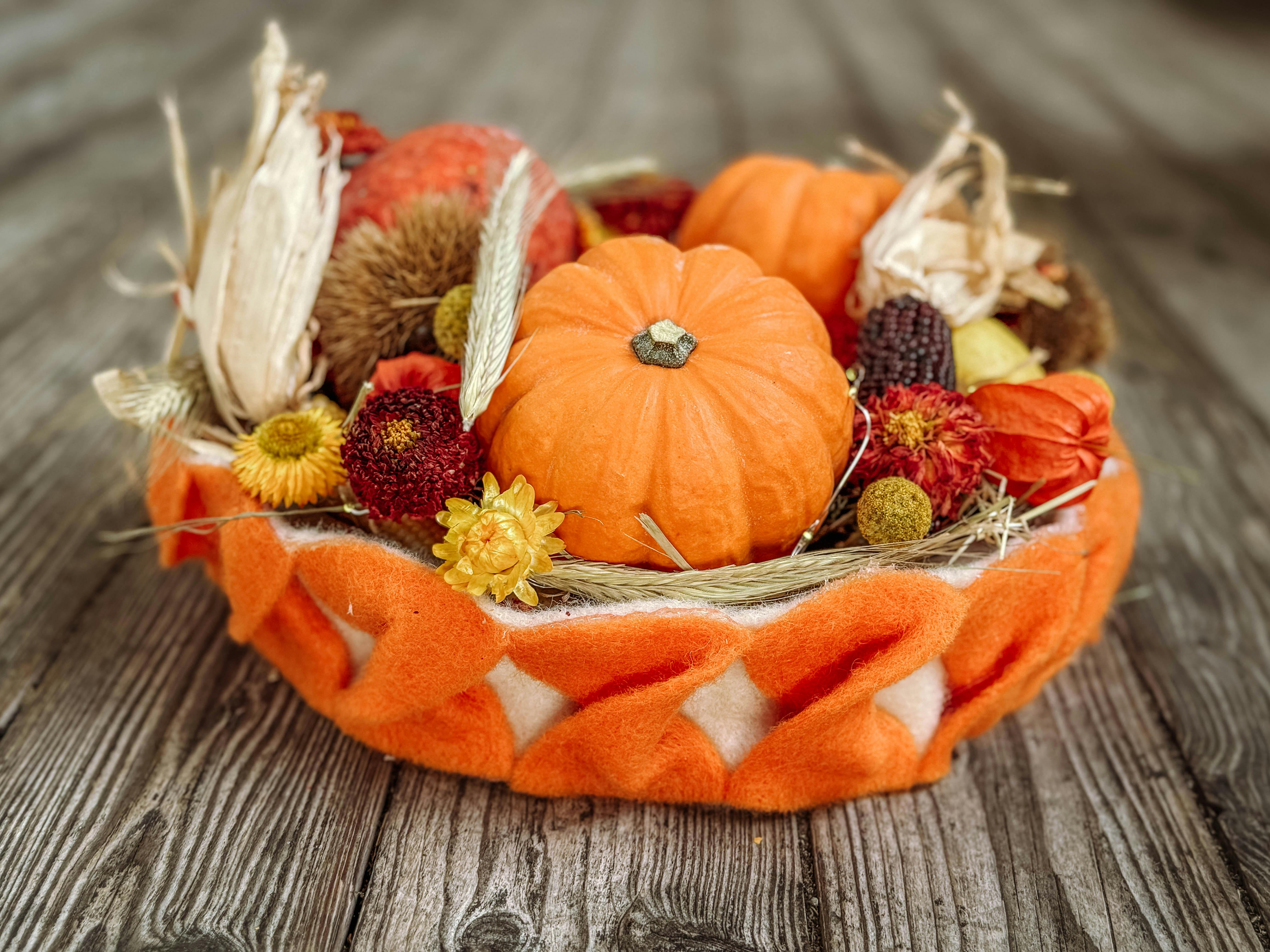 Kürbisse im Pflanzring