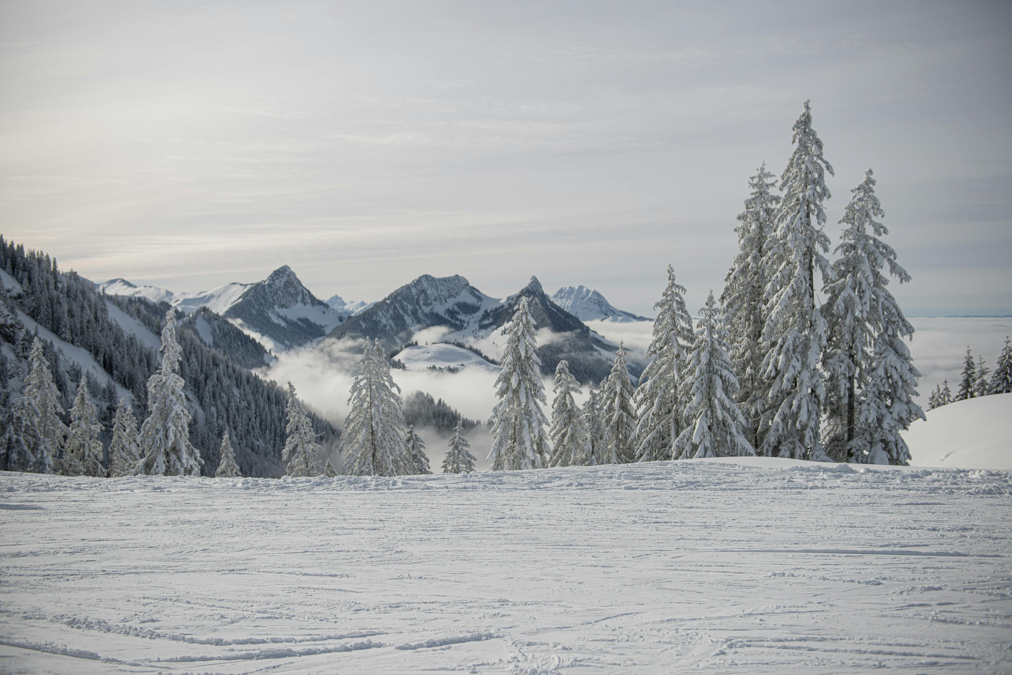 Fussgänger 1 Bergfahrt