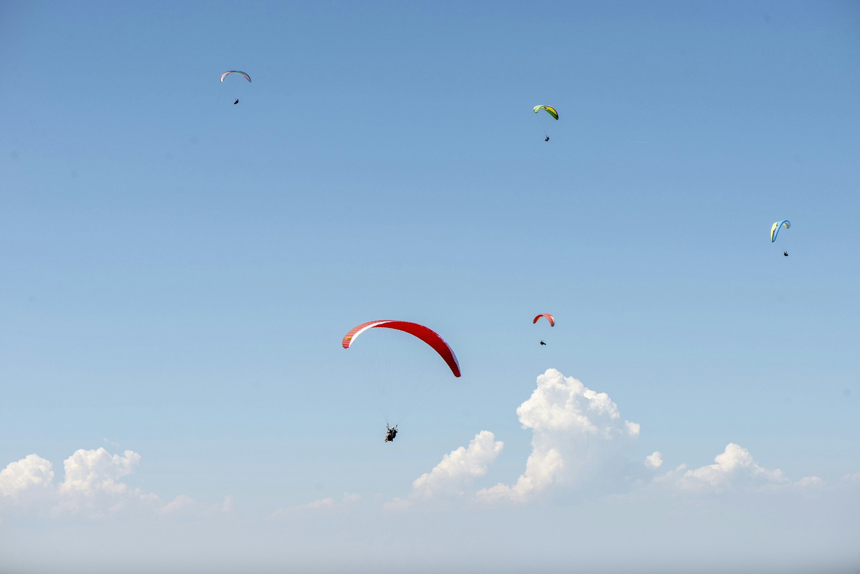 Paragliders 3 hours