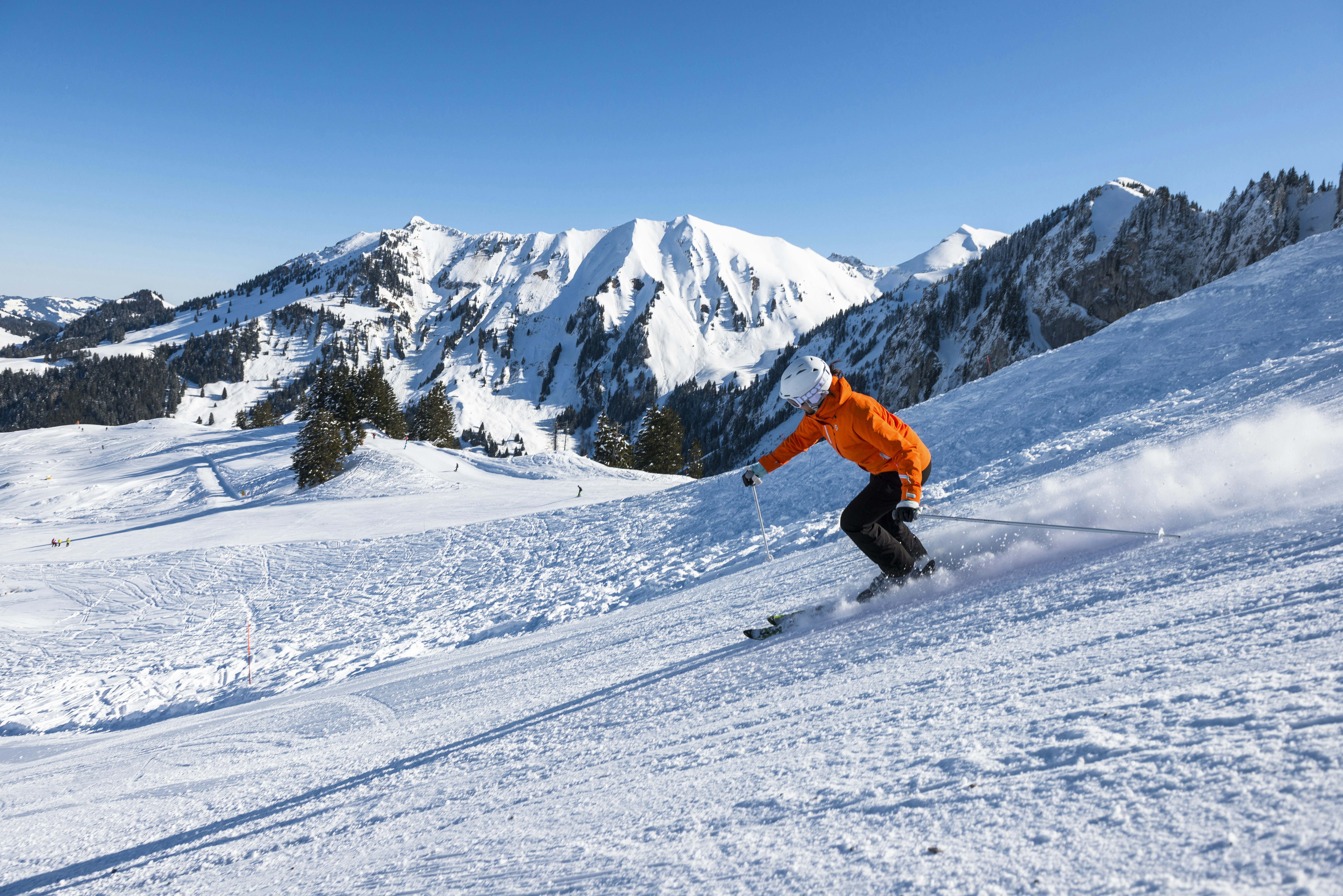 Carte de ski journalière - print@home