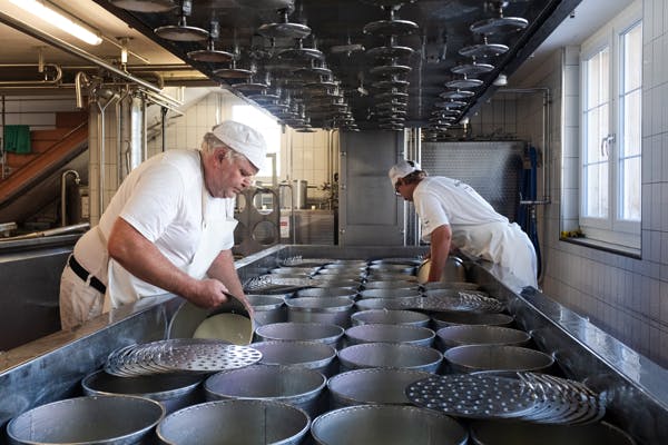 Öffentliche Alpschaukäserei-Führung Schwägalp
