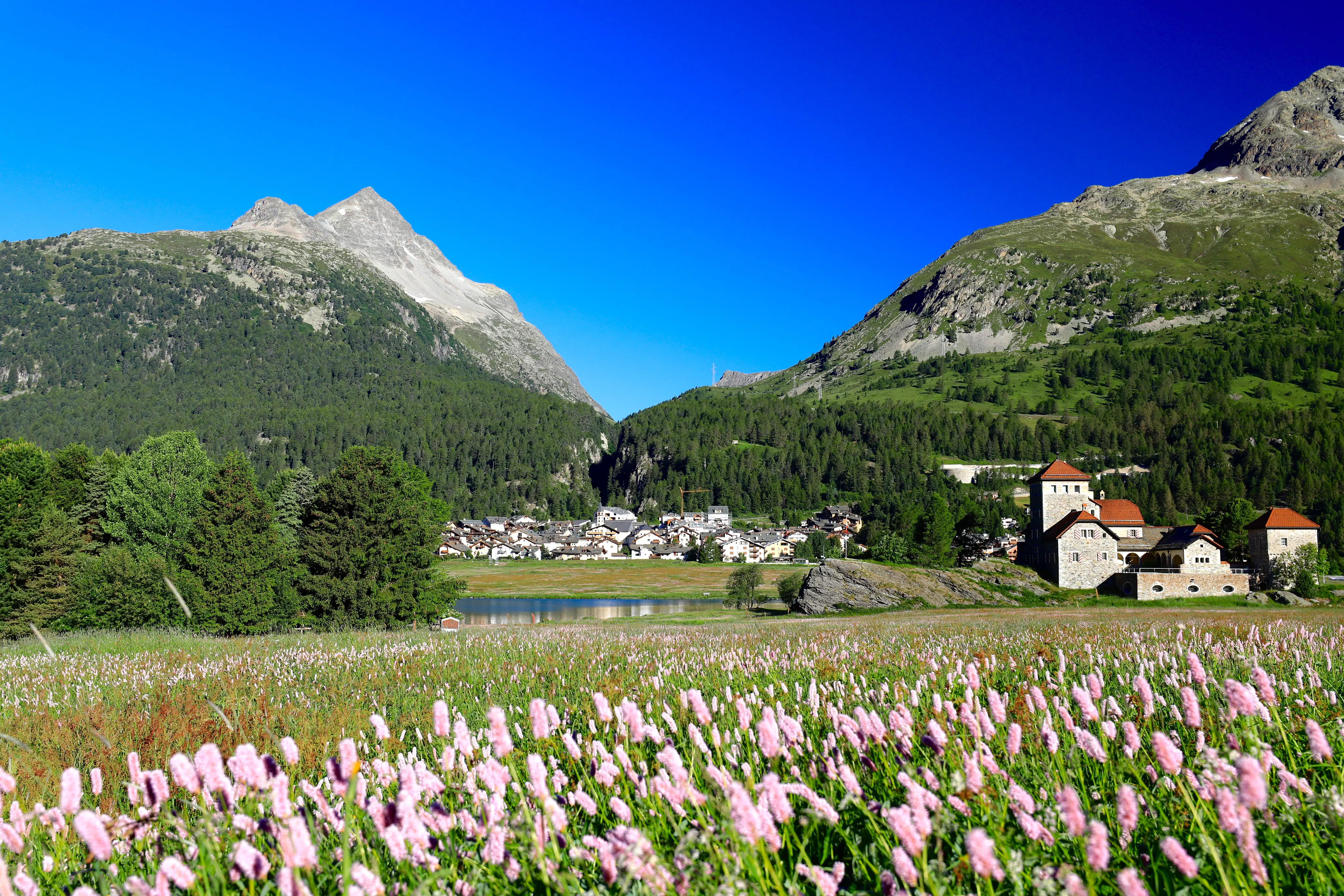 Gäste Parkbewilligung