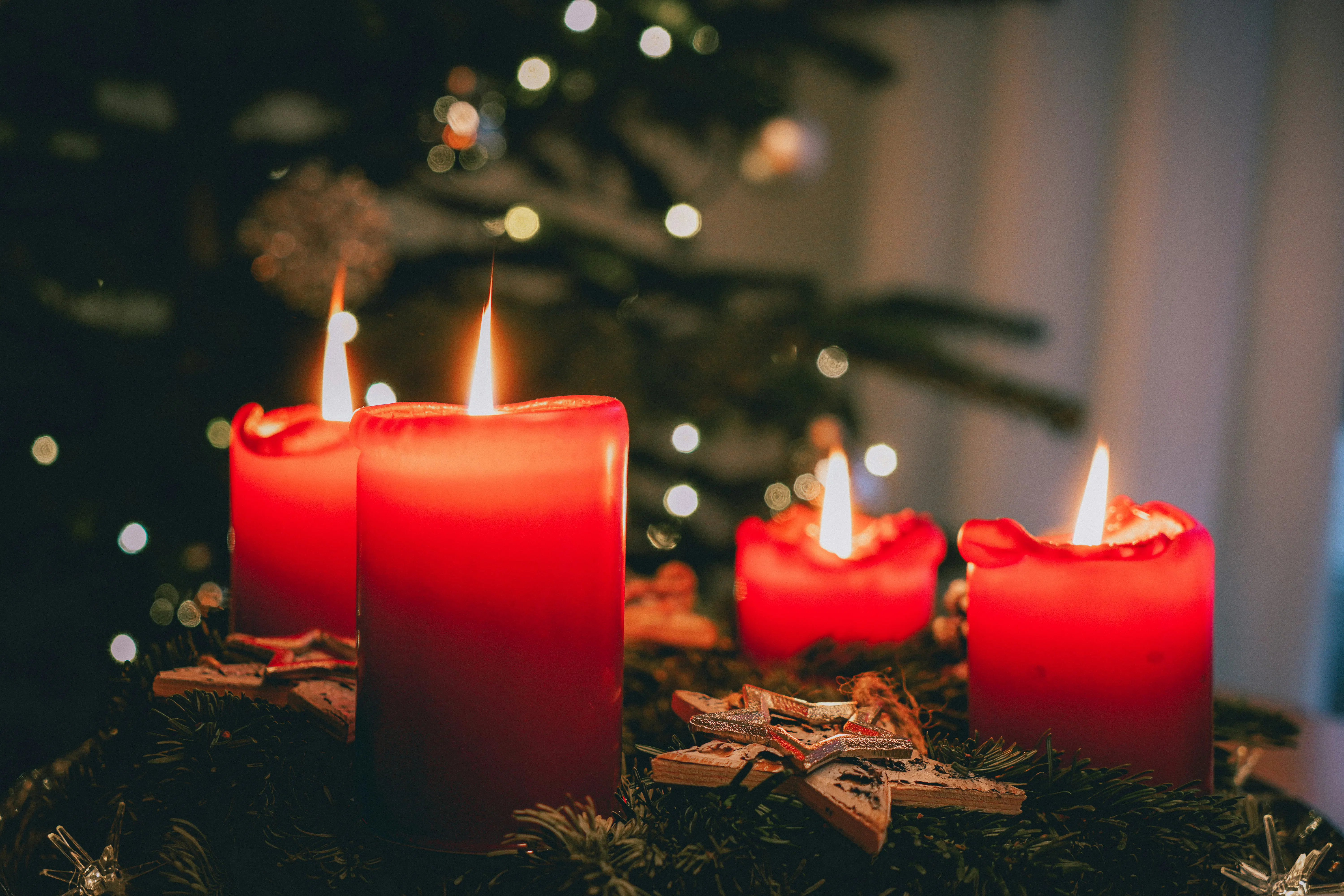 Wintergrün & Lichterglanz - Dein Adventskranz