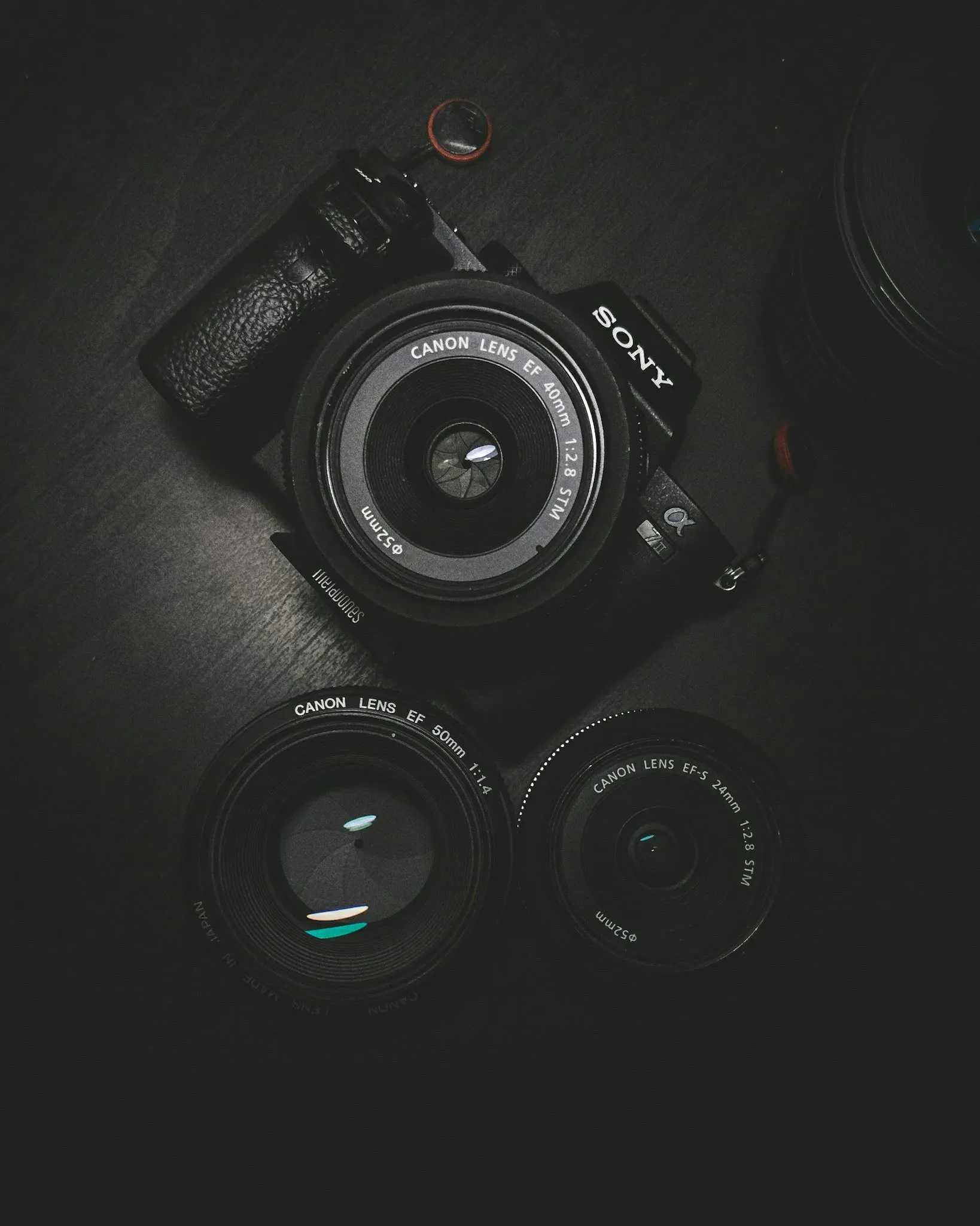 Einsteiger Fotografie Kurs