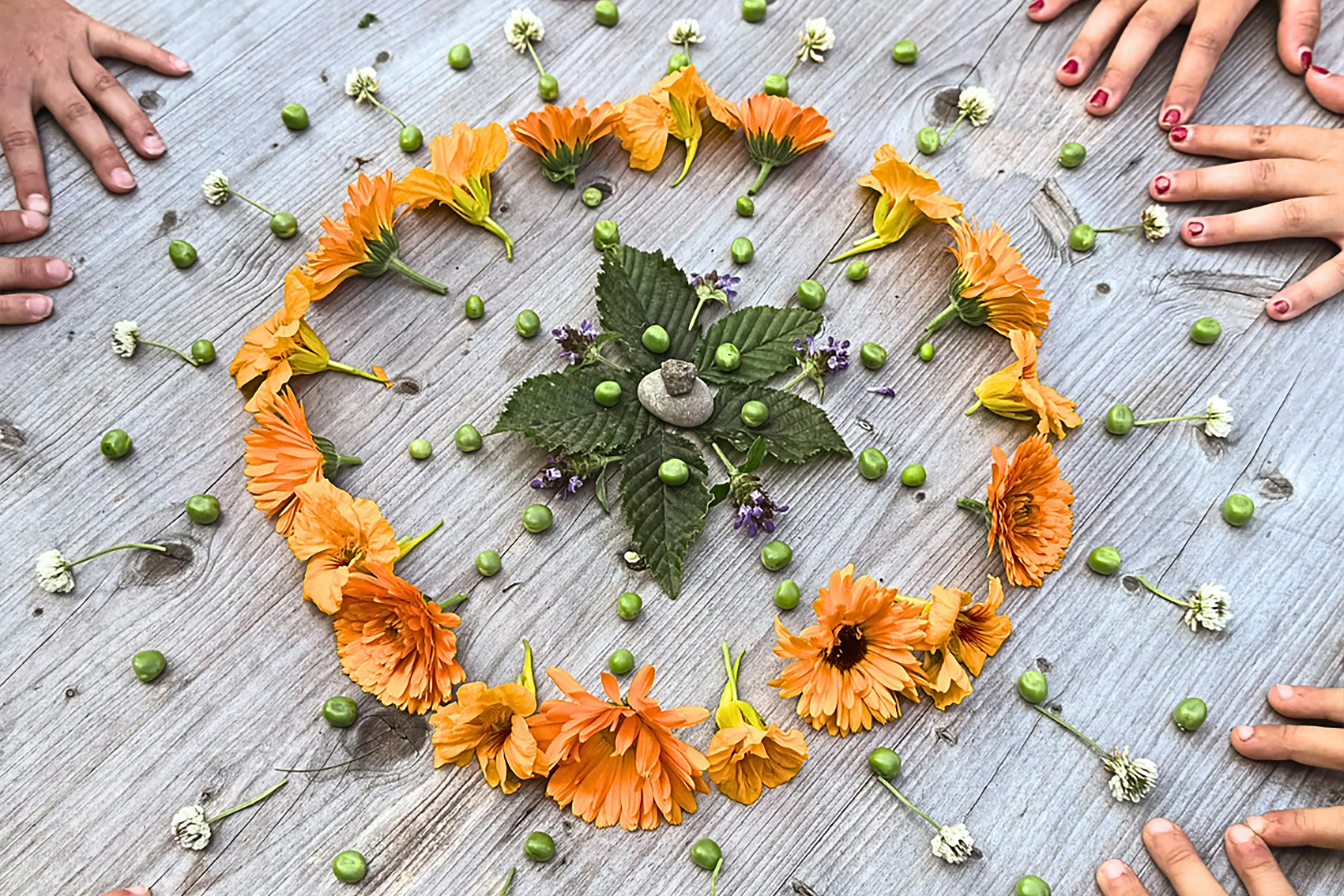 Kunterbunt: Schatzsucher