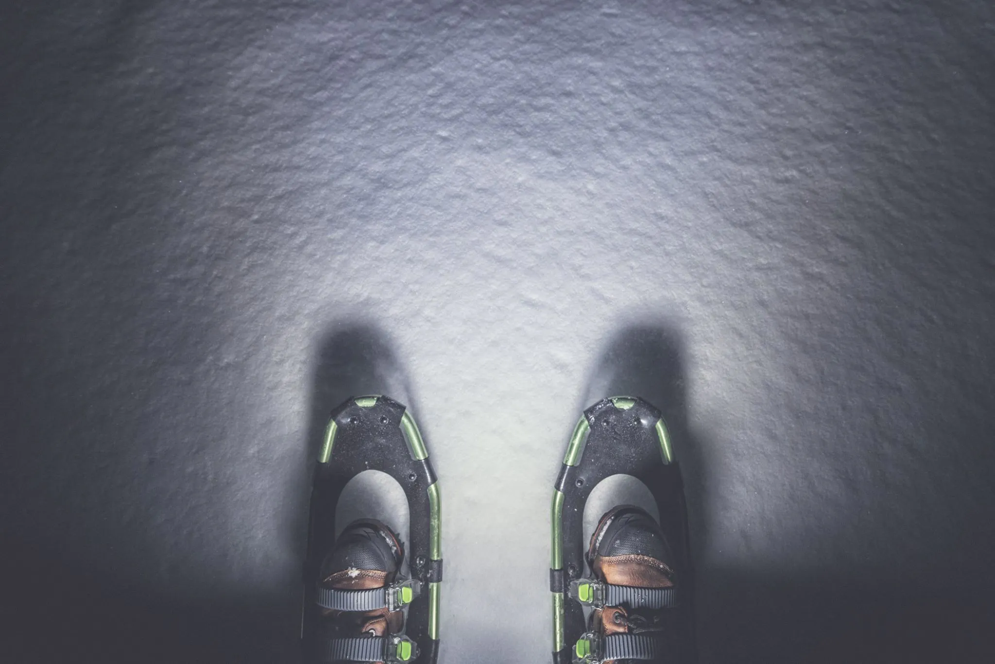 Vollmond-Schneeschuh-Tour