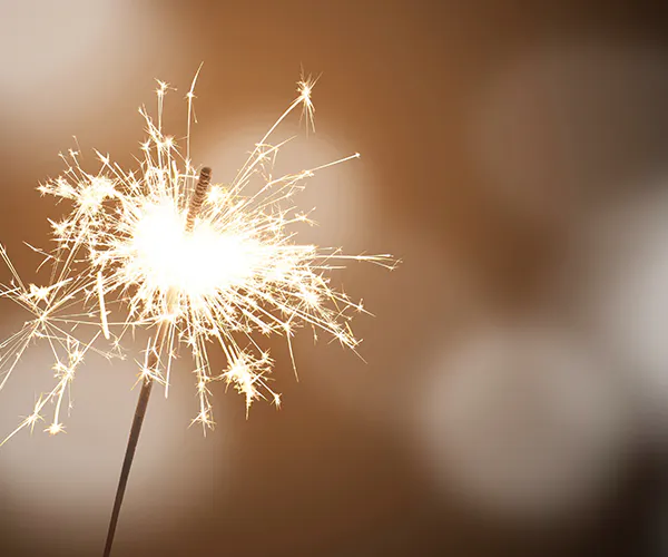 Silvester-Schmaus