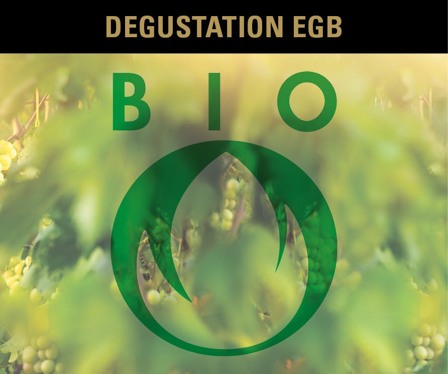 DEGUSTATION VINS BIO 03.04.2025