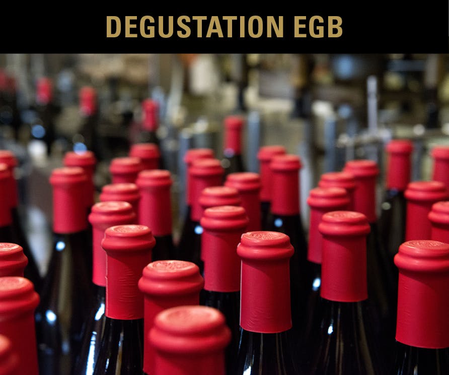 DÉGUSTATION TERROIR DES VINS NEUCHÂTEL – AVEC CAVES DES CÔTEAUX 9.10.2025