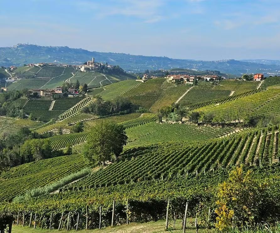 Genussreise Piemont 2. - 4. Oktober 2026 – Zusatztermin aufgrund grosser Nachfrage!