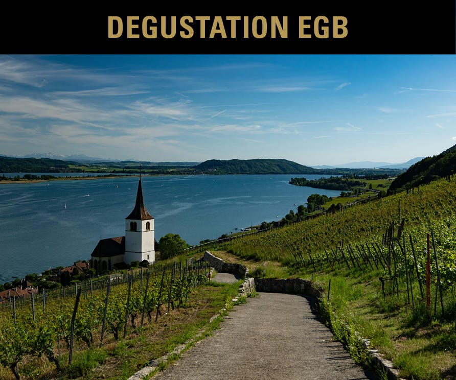 DÉGUSTATION TOUR DE SUISSE 25.9.2025