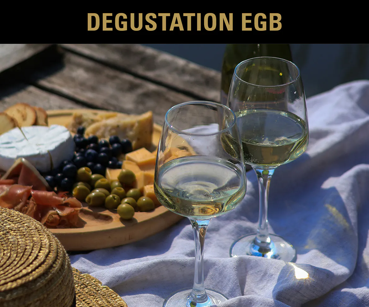 DEGUSTATION SOMMERWEINE & NEUHEITEN – 18.6.2026