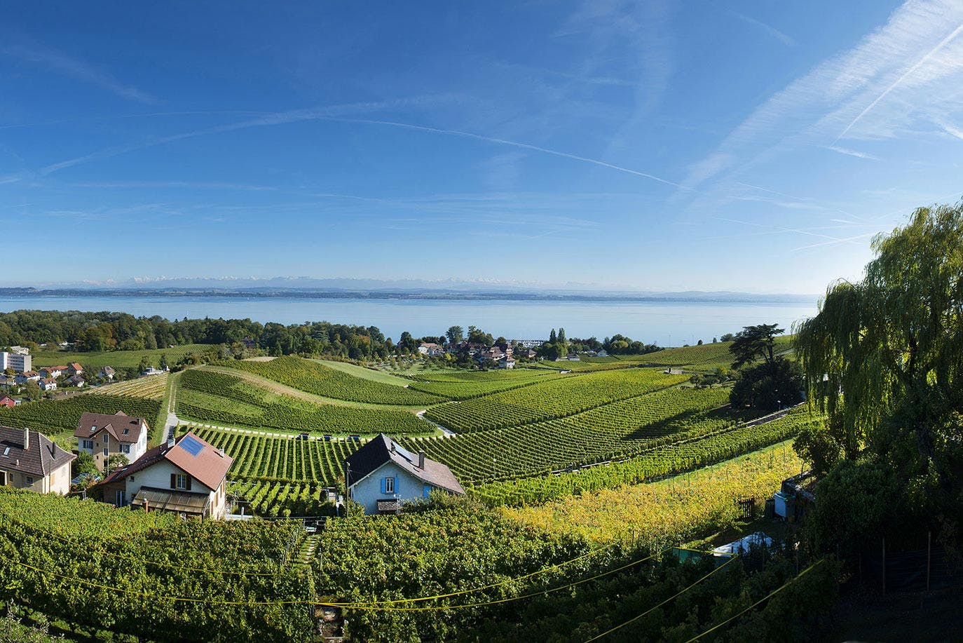 Masterclass « Terroir des vins de Neuchâtel » (en français)