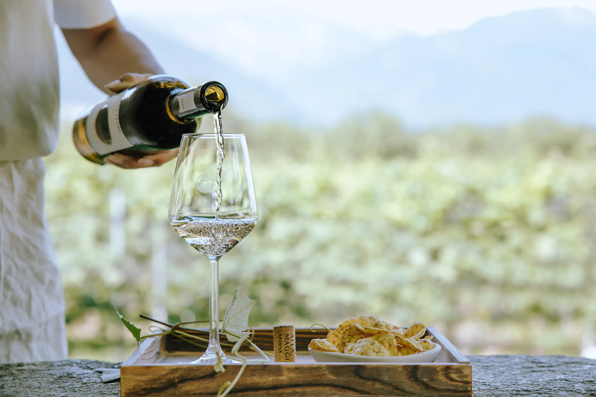 Visits and tastings at our winery
