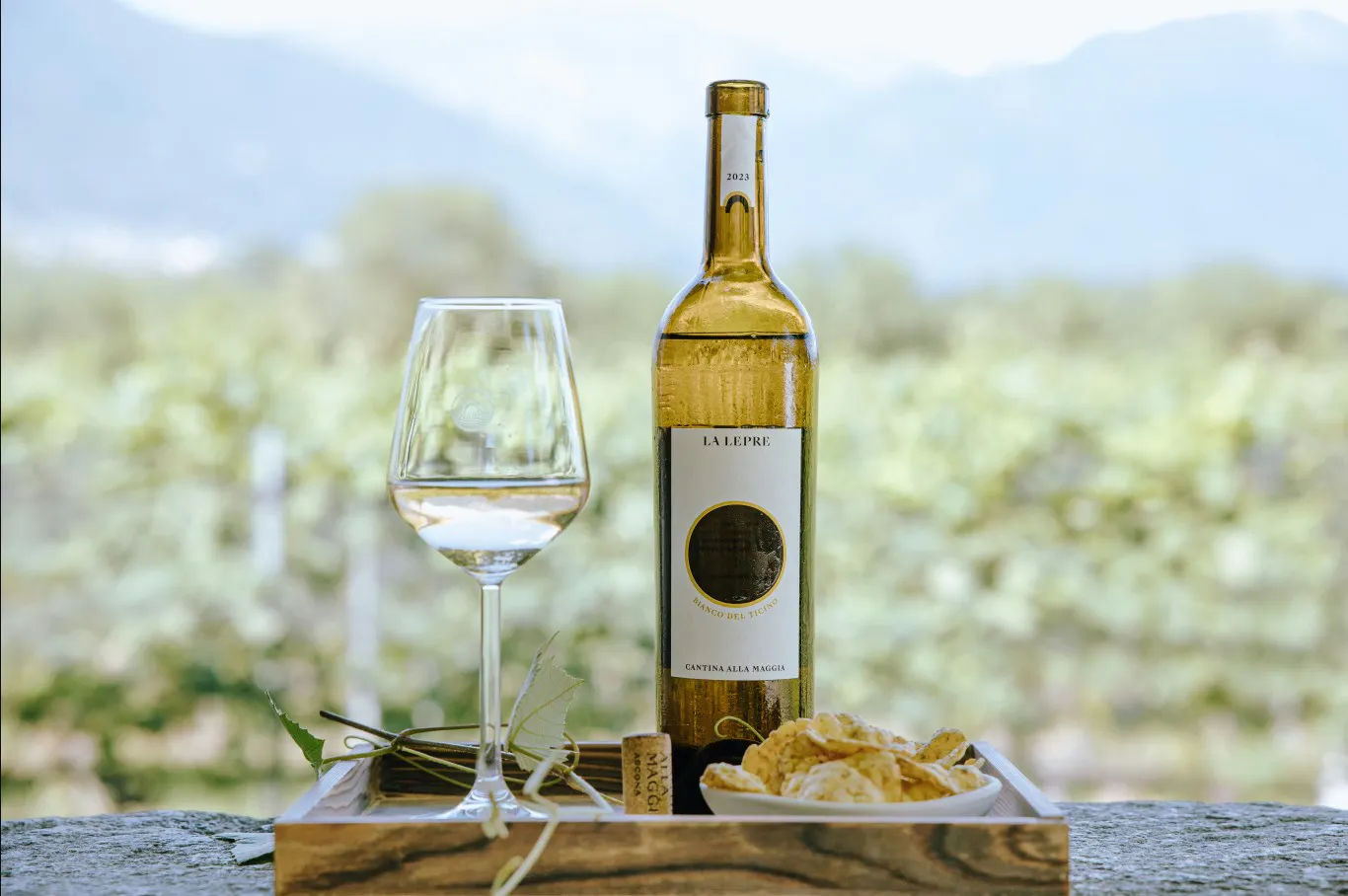 Dégustation 5 verres<br>