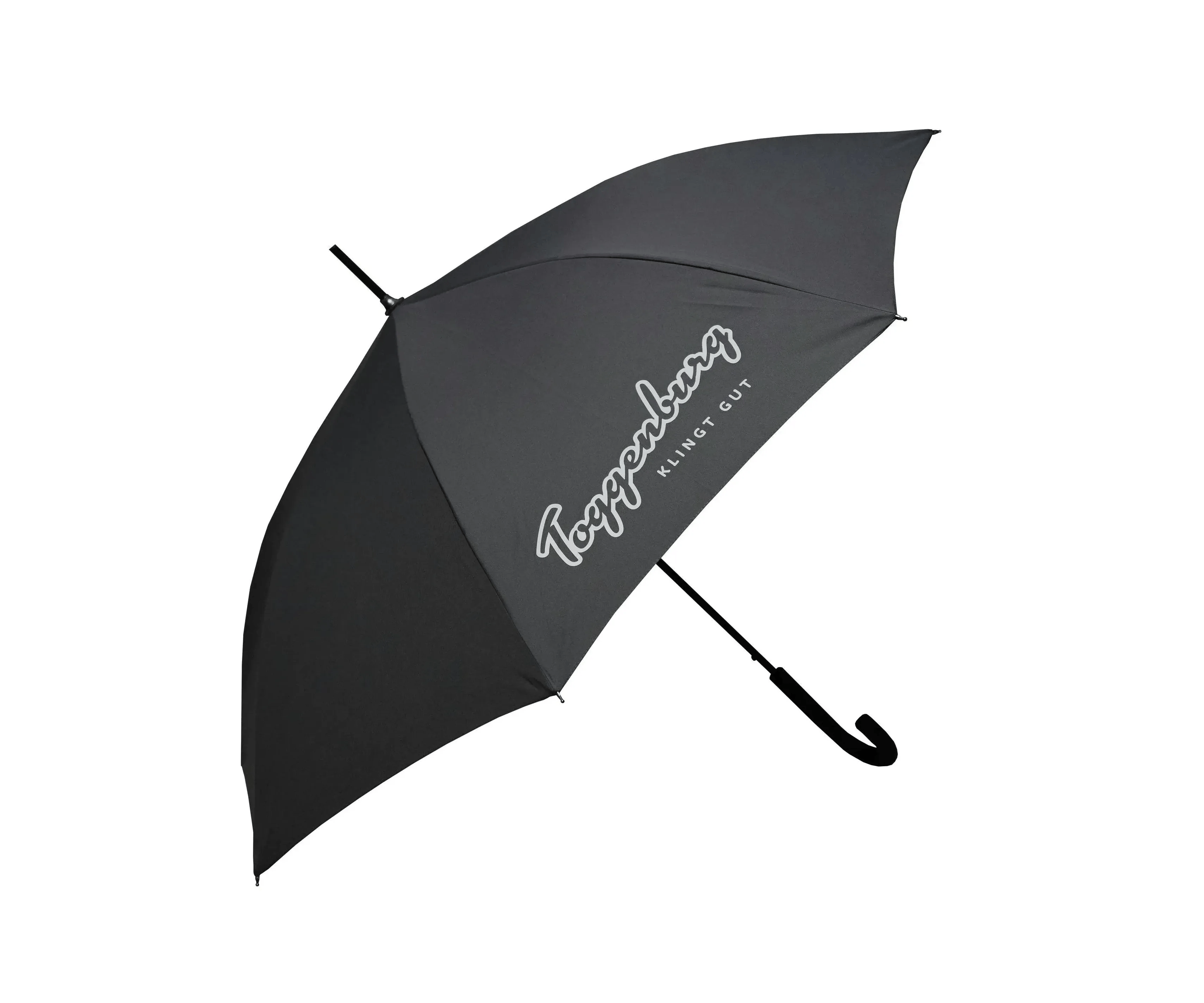 Regenschirm