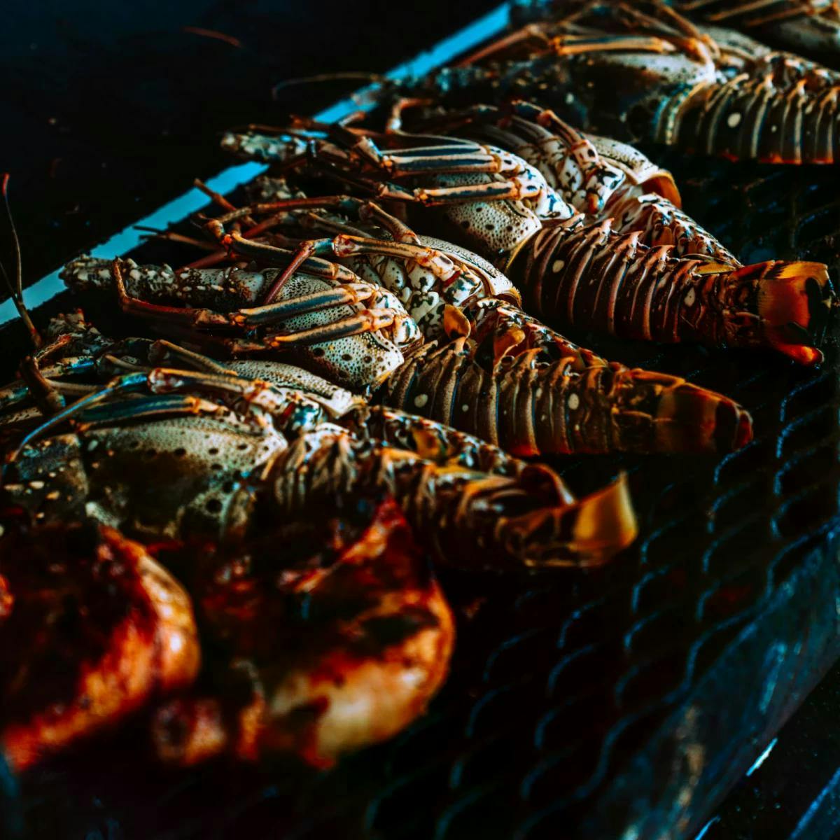 Hummer & Friends Dinner