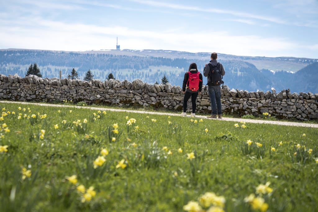 SAVURANDO - Kulinarische Schatzsuche im	Naturpark Chasseral