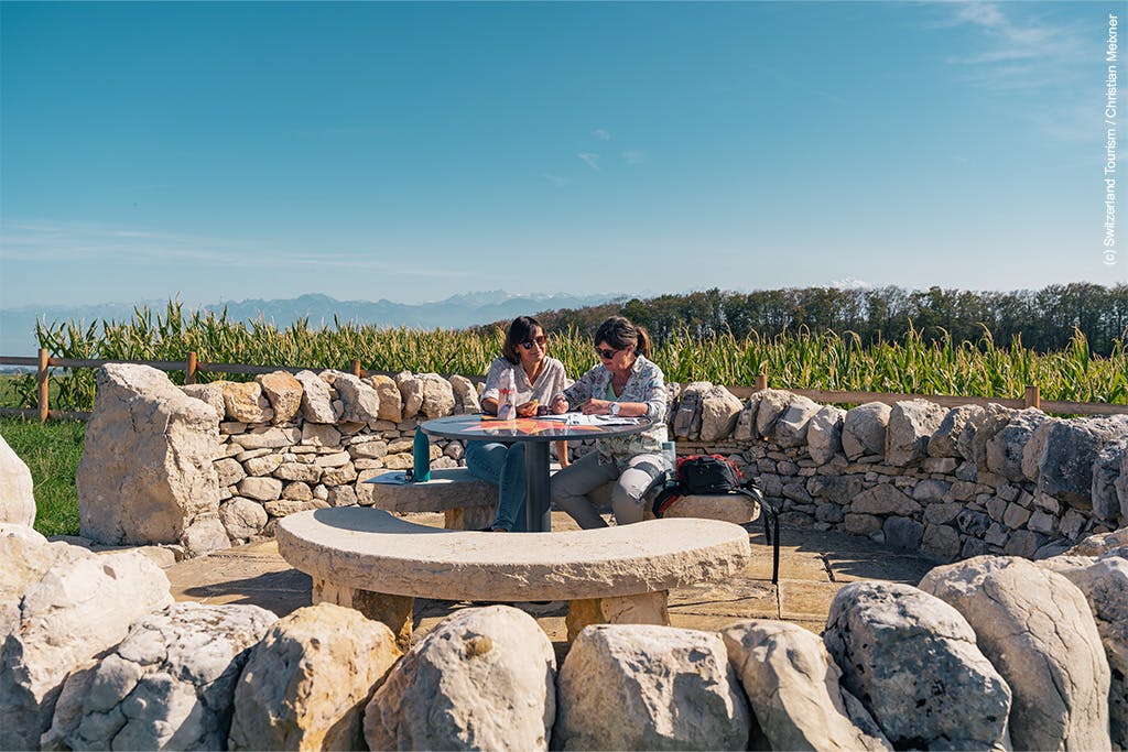 SAVURANDO - Kulinarische Schatzsuche im&nbsp;Parc Jura vaudois