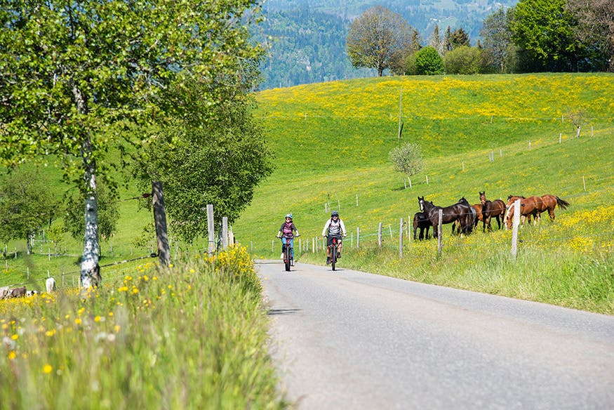 SAVURANDO - Kulinarische Schatzsuche in der&nbsp;UNESCO Biosphäre Entlebuch
