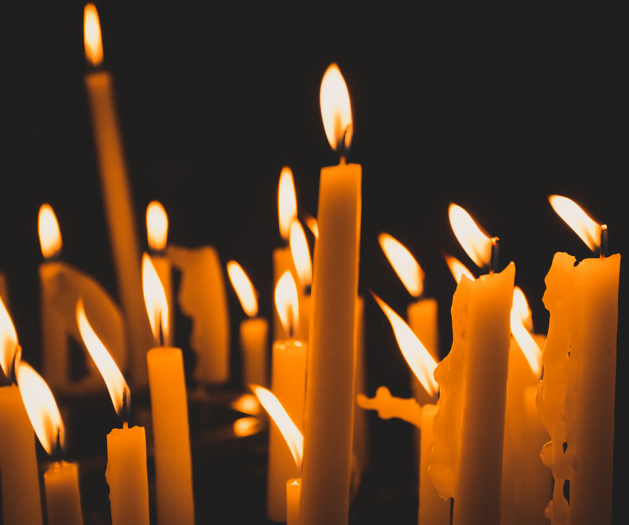 Candle Light Dinner „Musical & Movie”
