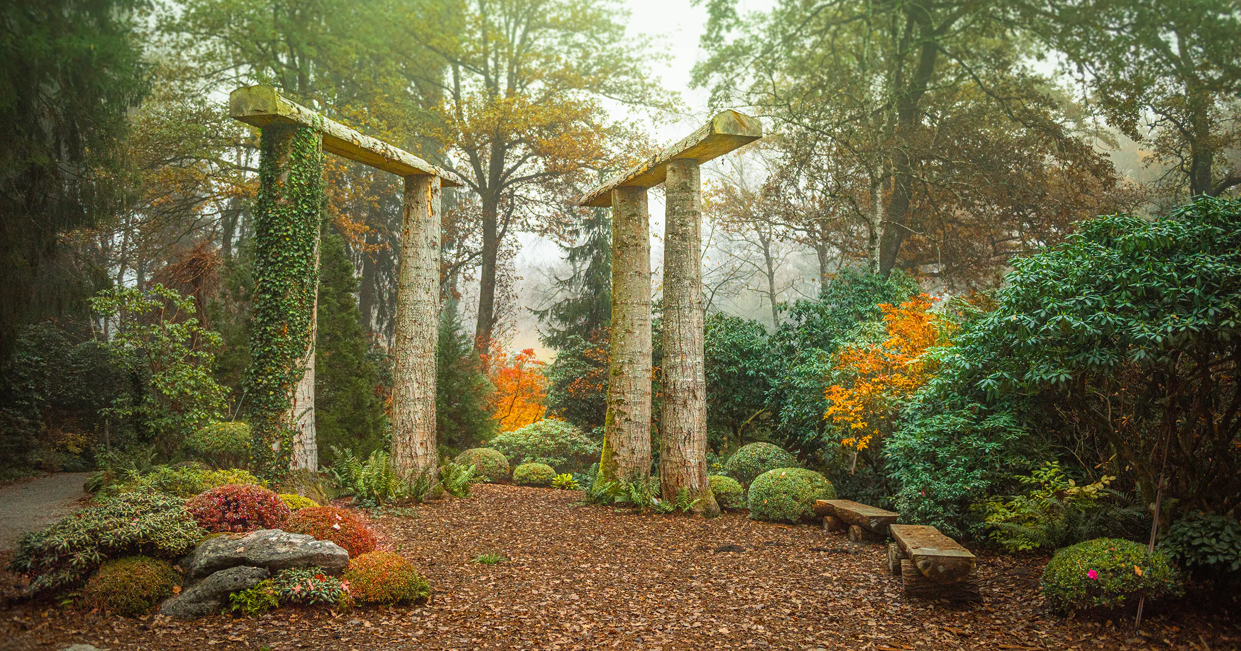 Herbstzauber im Park – Führung mit unserem Obergärtner