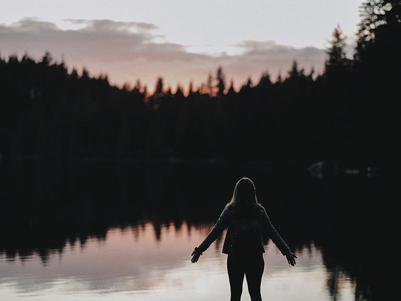 Thementage - Universum Stimme