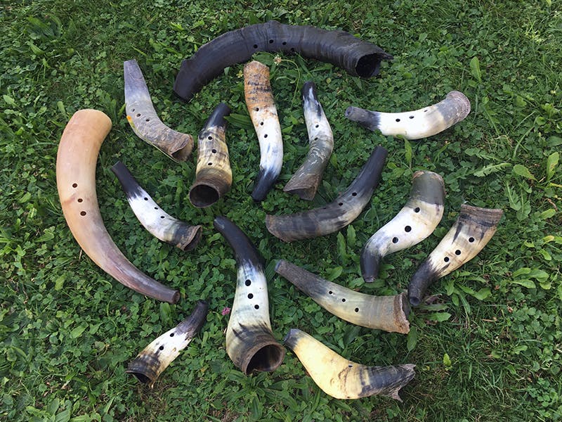 Tierhorn bauen | 26.0405