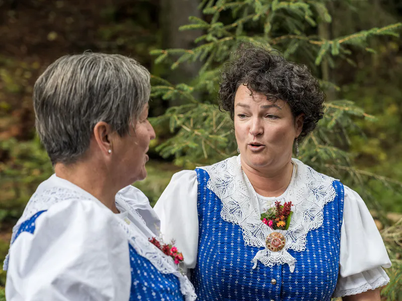 Naturjodel der Schweizer und Österreichischen Alpen I 27.0501
