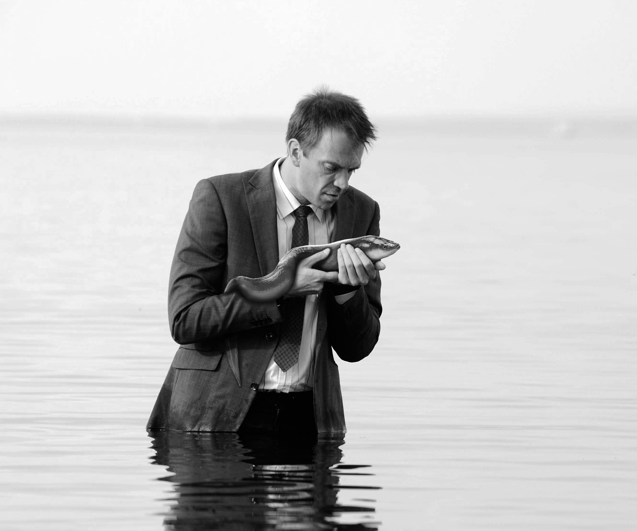 Das Evangelium der Aale von Patrik Svensson