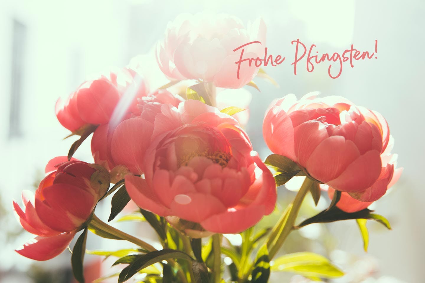Genuss in Blüte – Pfingstmenü 2025