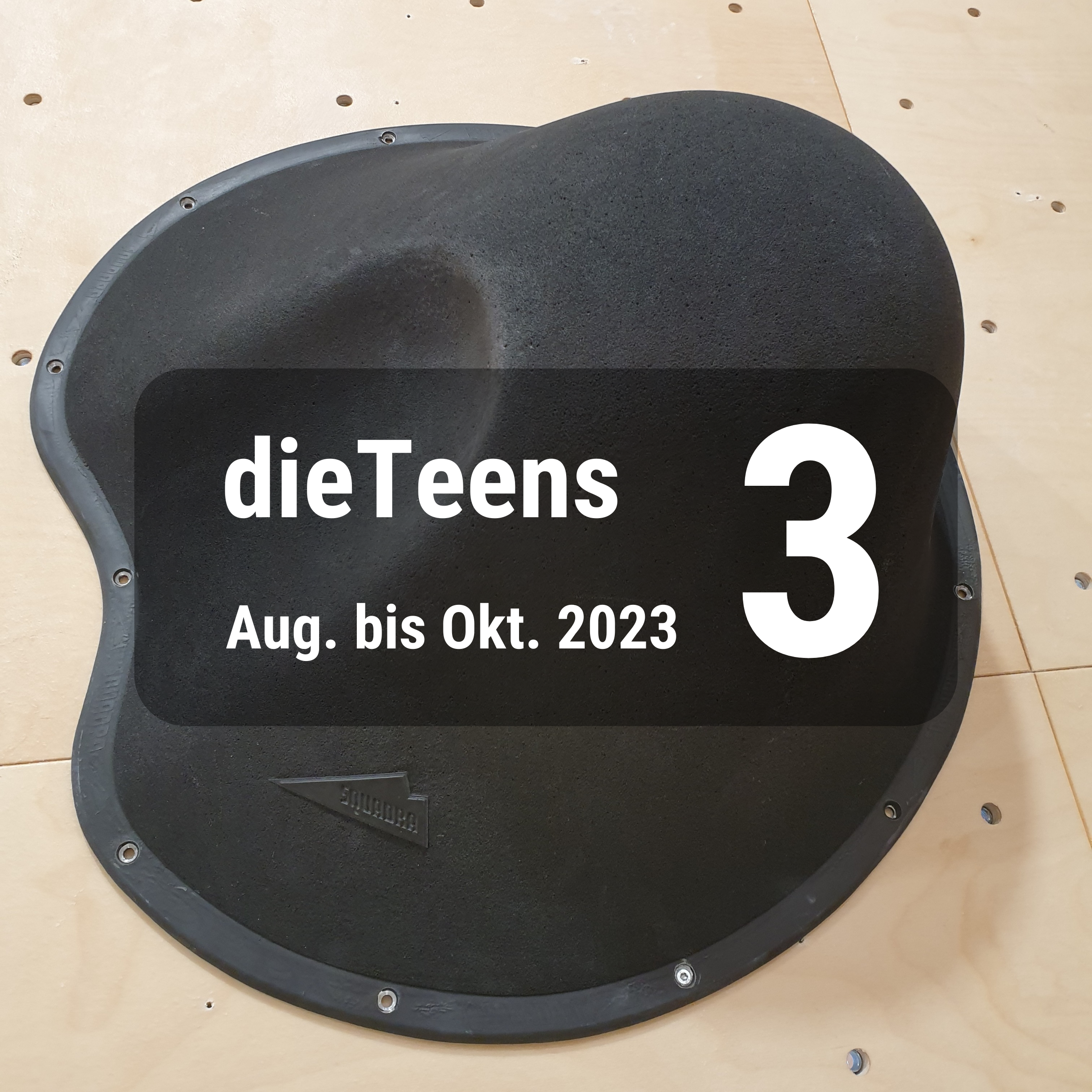 dieTeens 3 