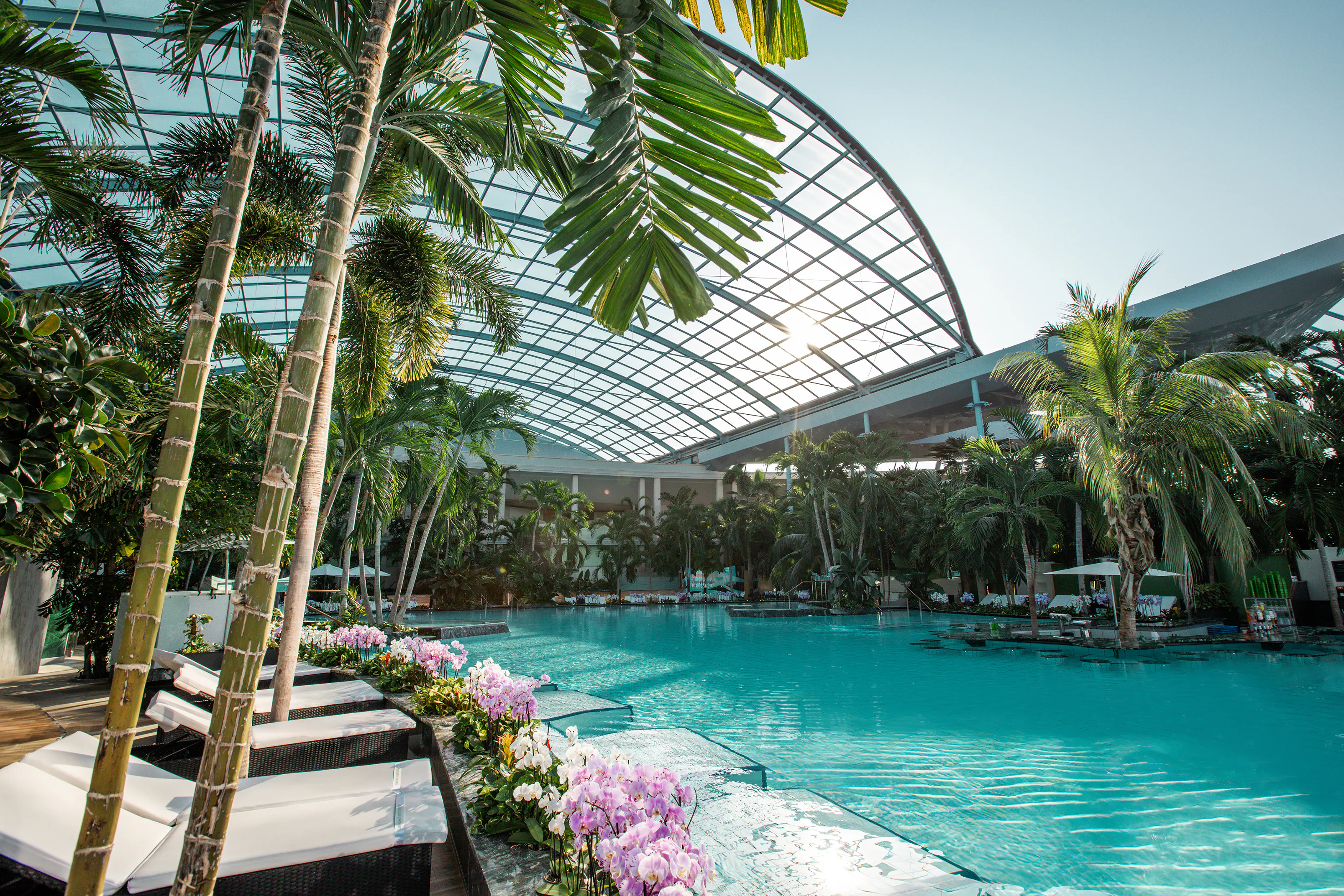 WellnessZEIT unter Palmen |&nbsp;3 Tage / 2 Nächte