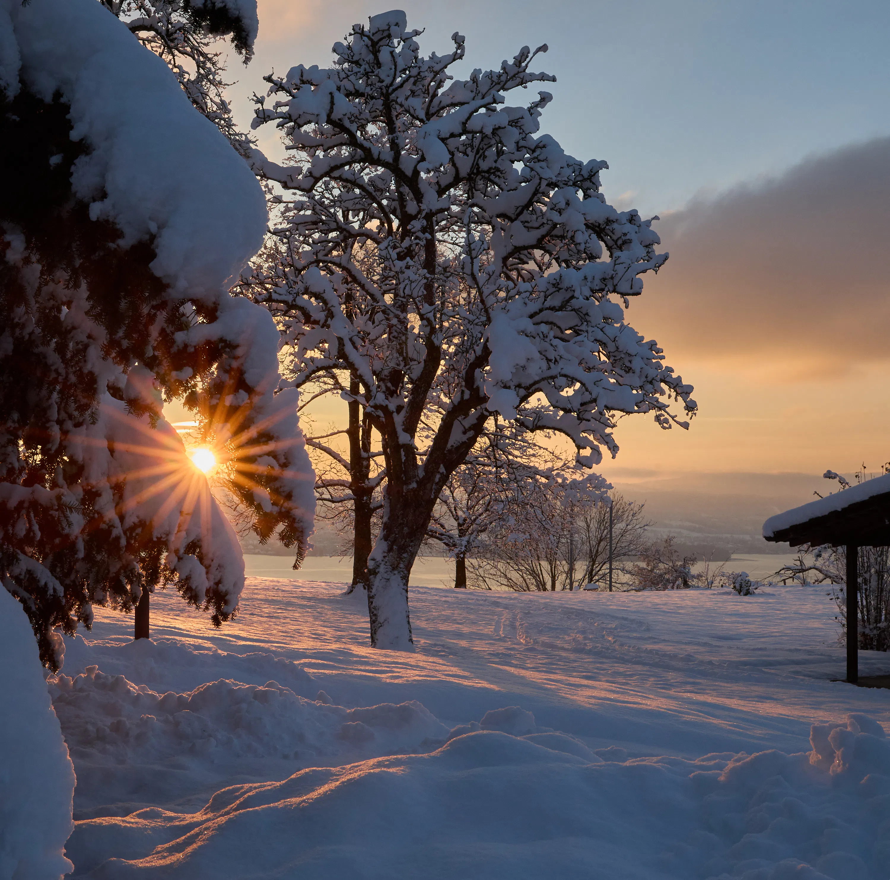 Weihnachtsgeschenk mit Weitblick