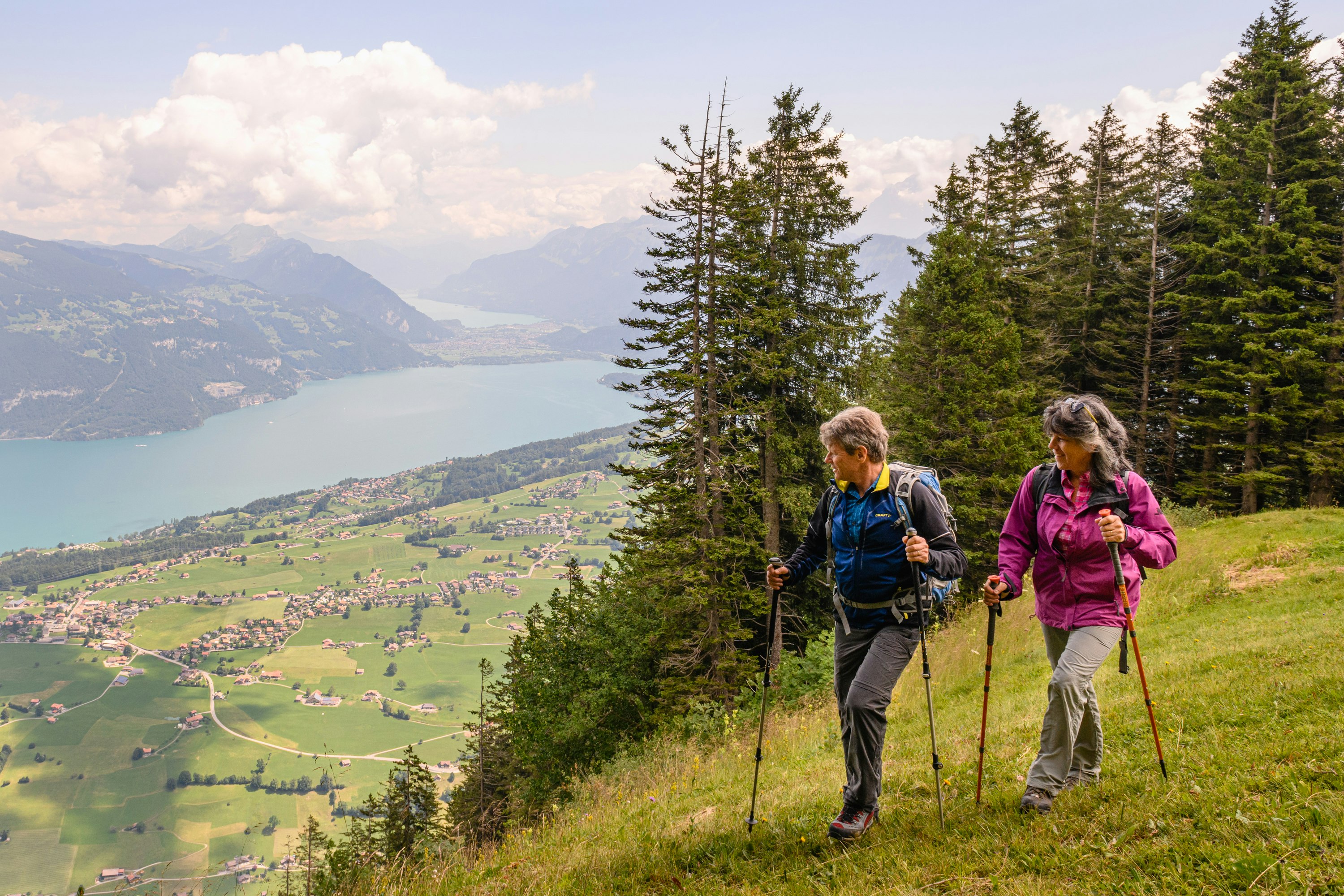 Hiking on the Niesen - the hiking ticket