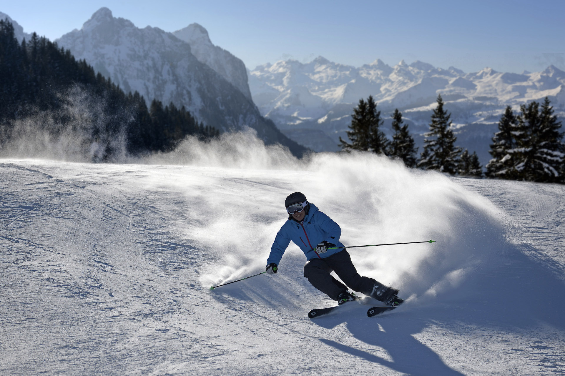 Carte journalière de ski Sattel-Hochstuckli