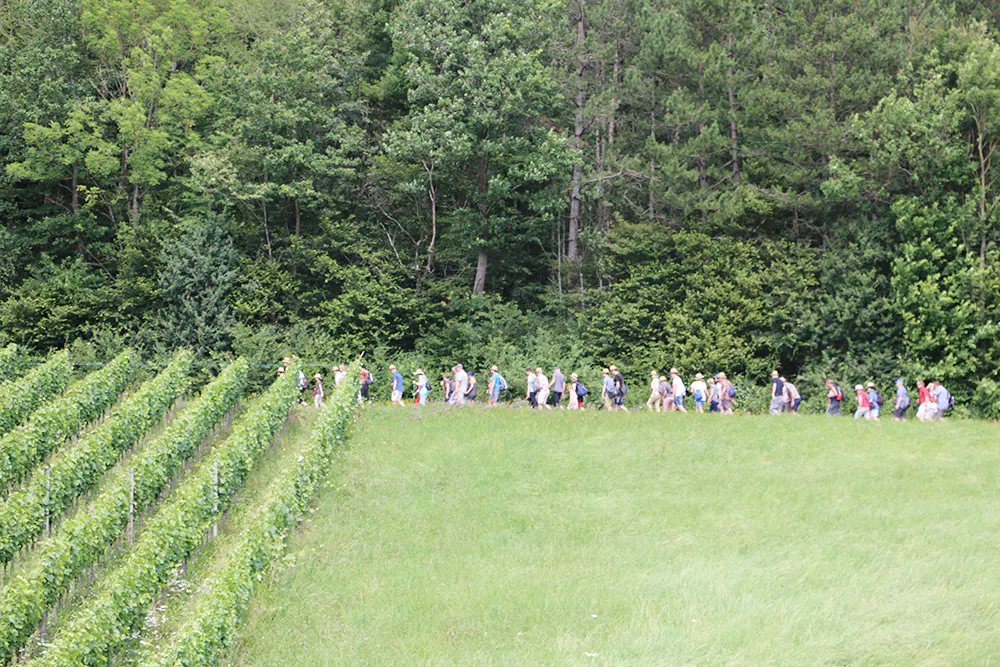 Kulinarische Weinwanderung 2027