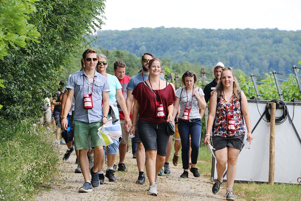 Kulinarische Weinwanderung