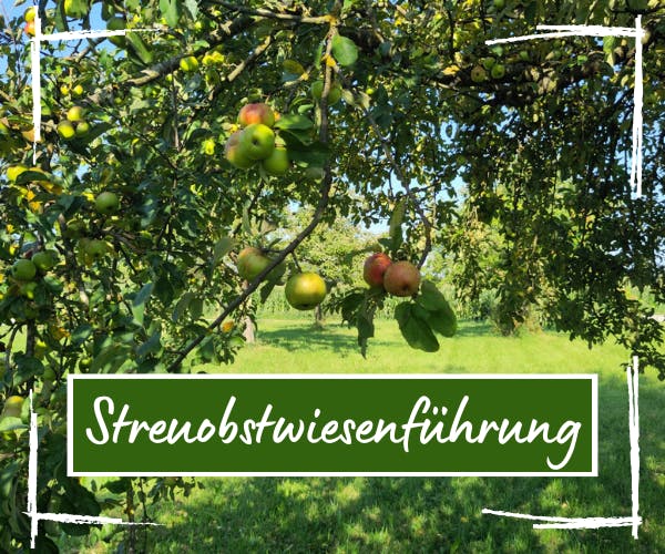 Streuobstwiesenführung