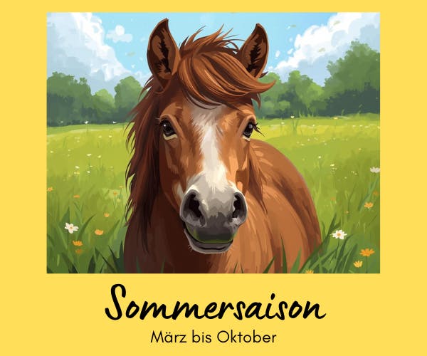 Ponyreiten Sommersaison