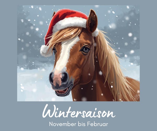 Ponyreiten Wintersaison