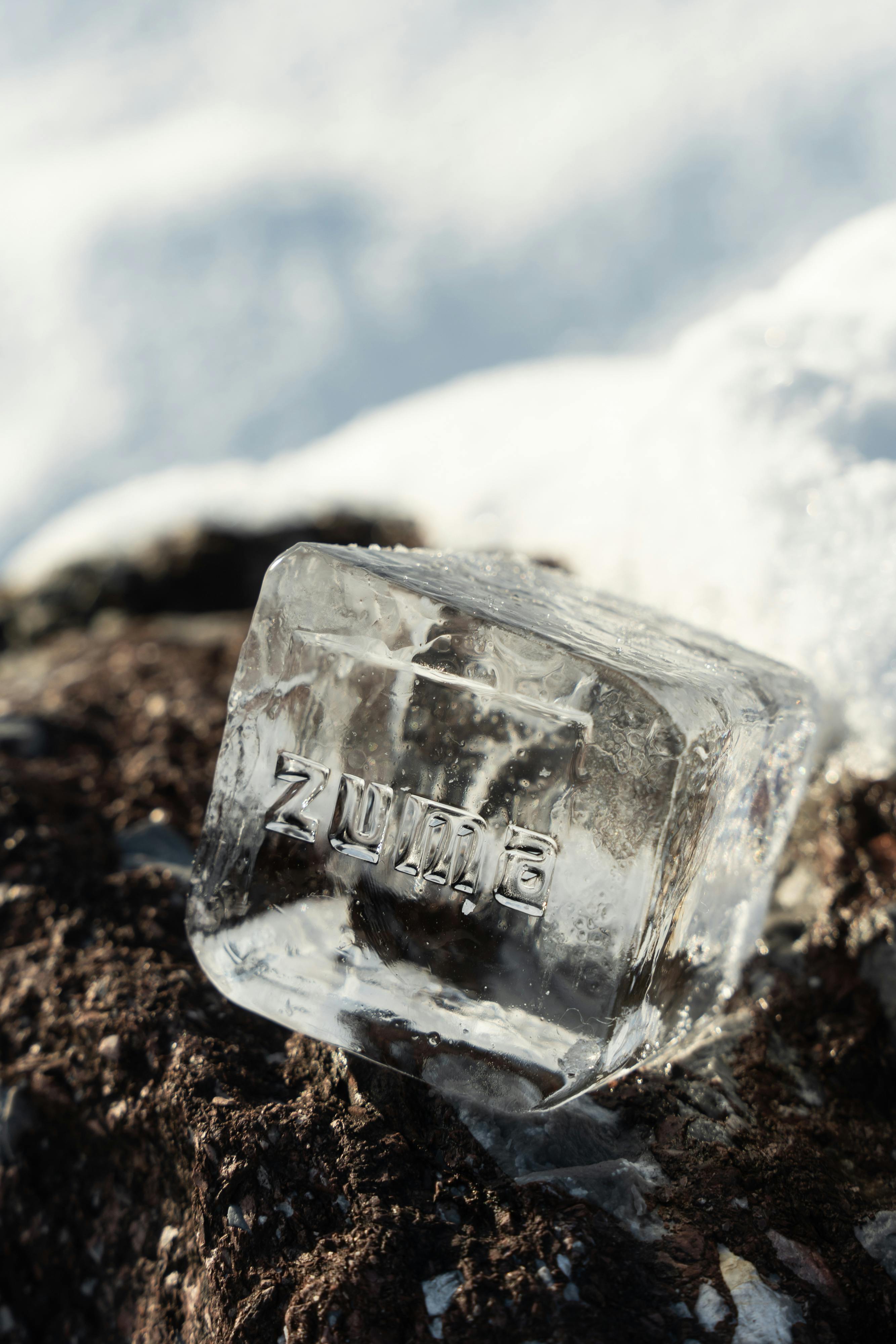 Zuma Experience - Winter Exclusive