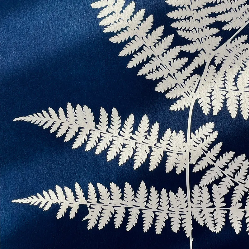 L'art du cyanotype